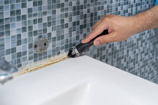 Best Commercial Mold Remediation in Old Orchard, PA